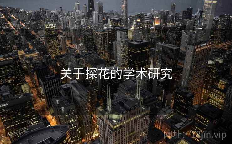 关于探花的学术研究