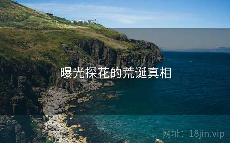 曝光探花的荒诞真相