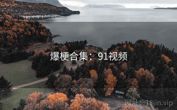 爆梗合集：91视频