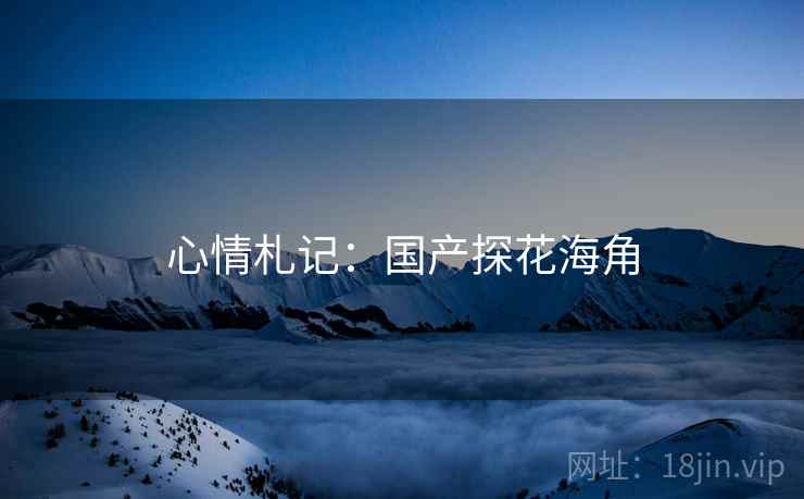 心情札记：国产探花海角
