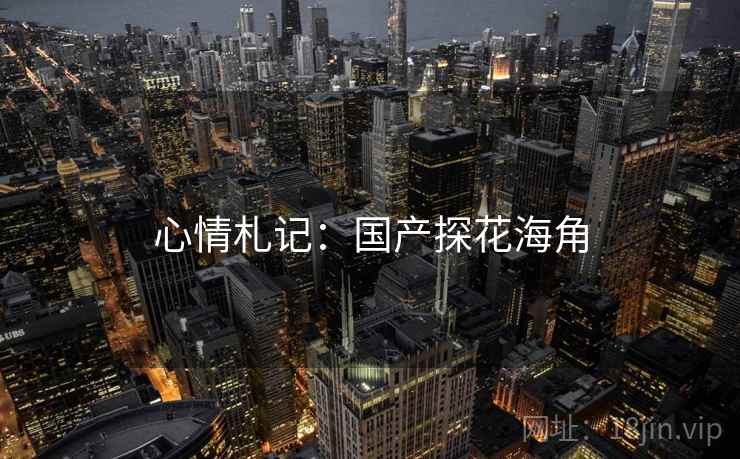 心情札记：国产探花海角