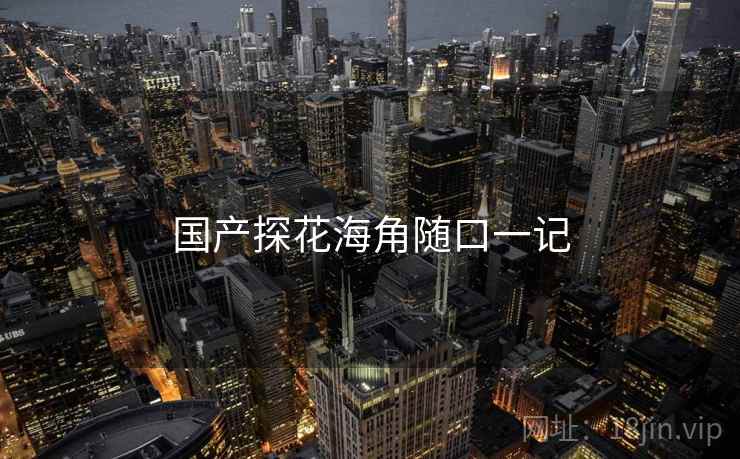 国产探花海角随口一记