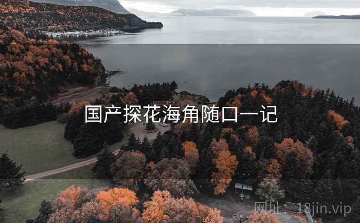 国产探花海角随口一记