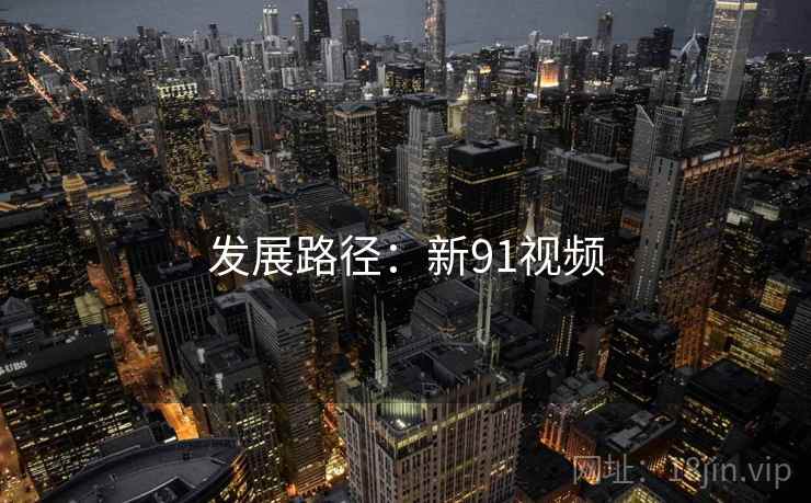 发展路径：新91视频