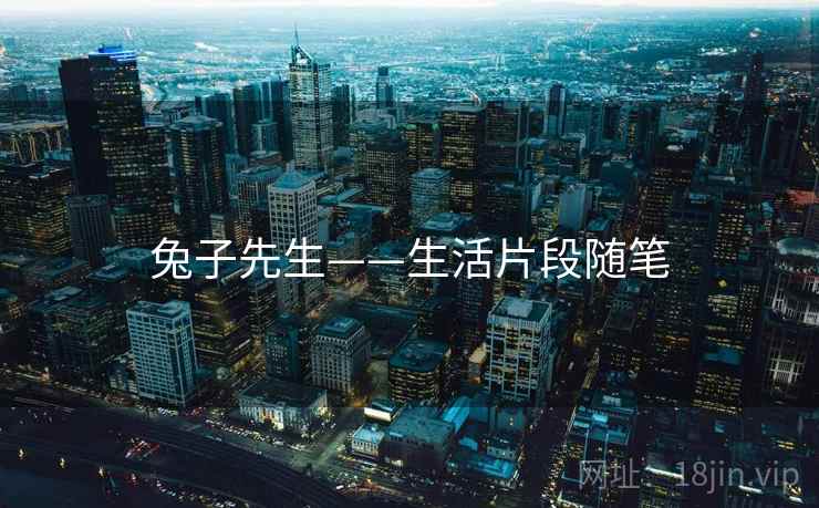 兔子先生——生活片段随笔