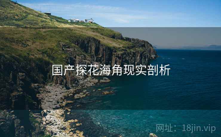 国产探花海角现实剖析