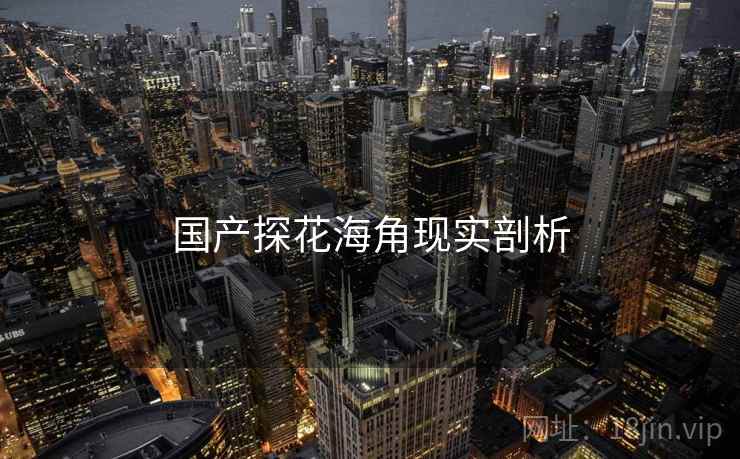 国产探花海角现实剖析