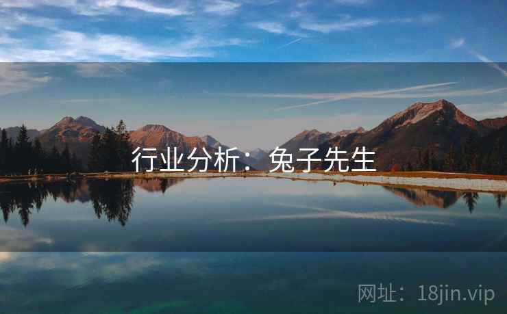 行业分析：兔子先生