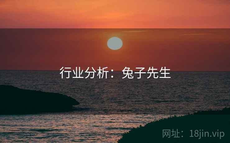 行业分析：兔子先生