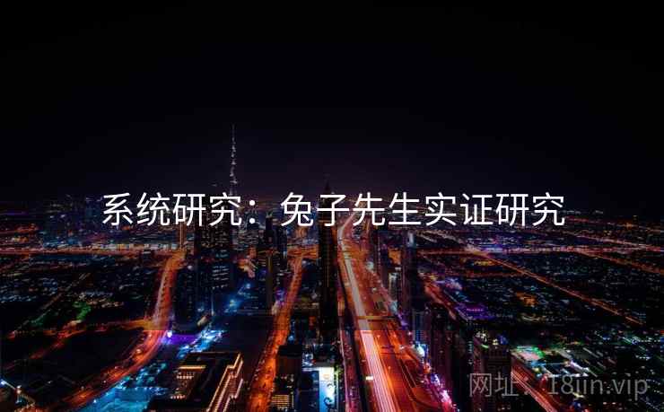 系统研究：兔子先生实证研究
