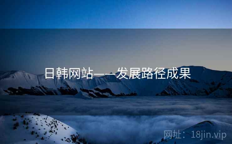 日韩网站——发展路径成果