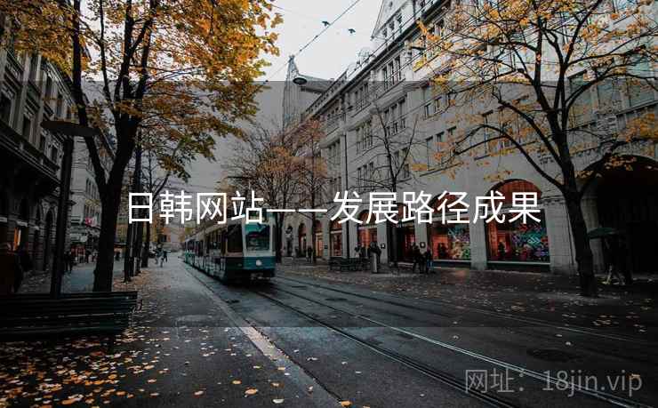 日韩网站——发展路径成果