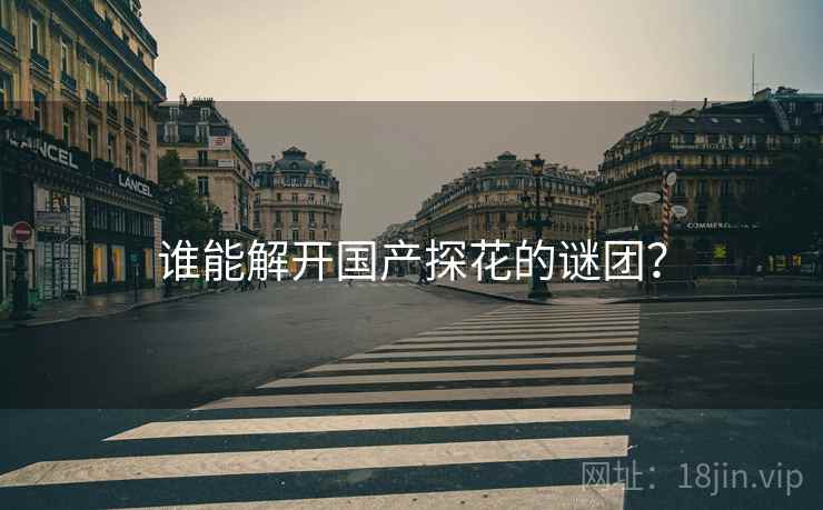 谁能解开国产探花的谜团？