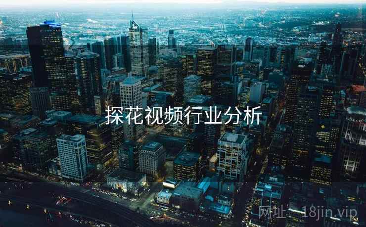 探花视频行业分析