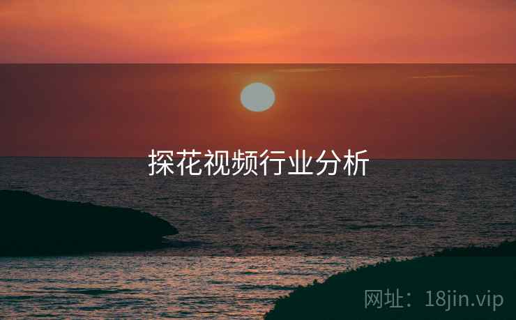 探花视频行业分析