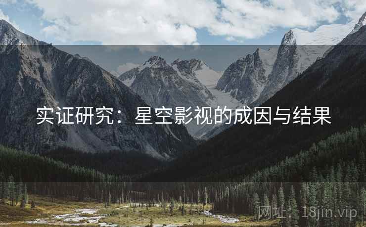 实证研究：星空影视的成因与结果