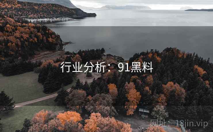 行业分析：91黑料