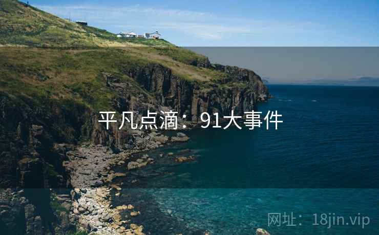 平凡点滴：91大事件