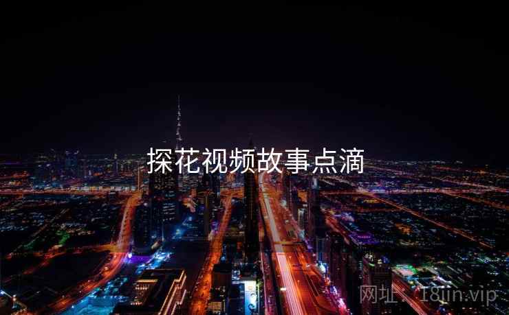 探花视频故事点滴