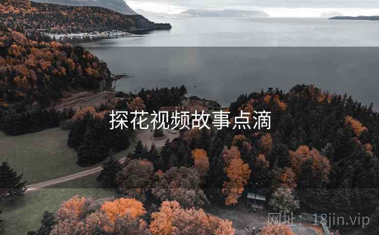 探花视频故事点滴