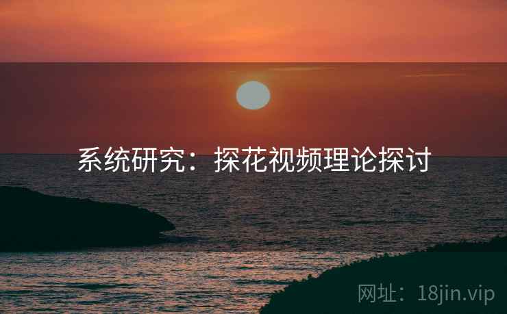 系统研究：探花视频理论探讨
