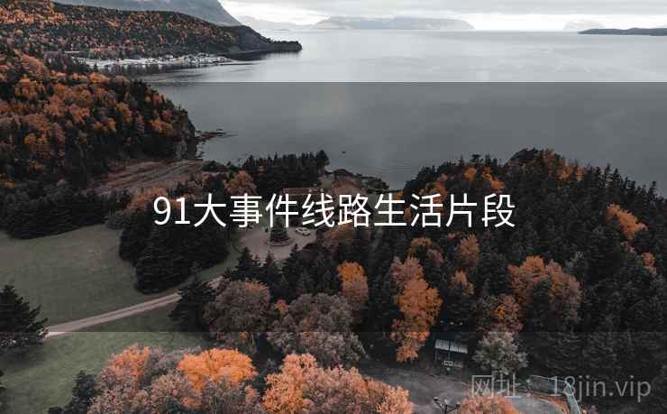 91大事件线路生活片段
