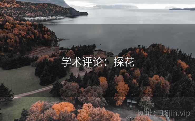 学术评论：探花