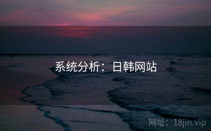 系统分析：日韩网站
