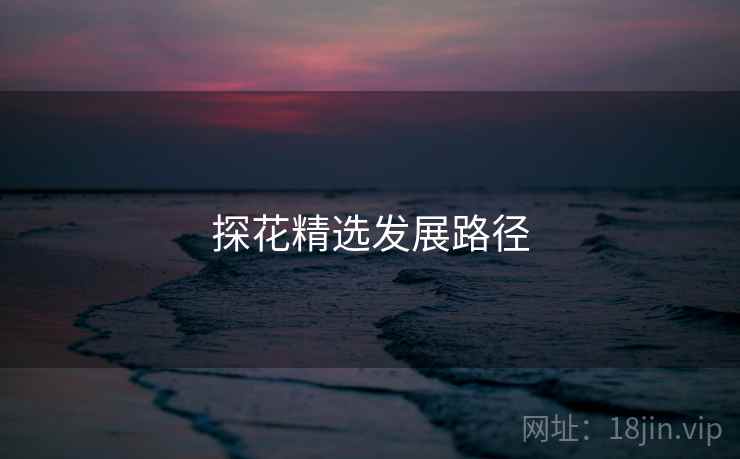 探花精选发展路径