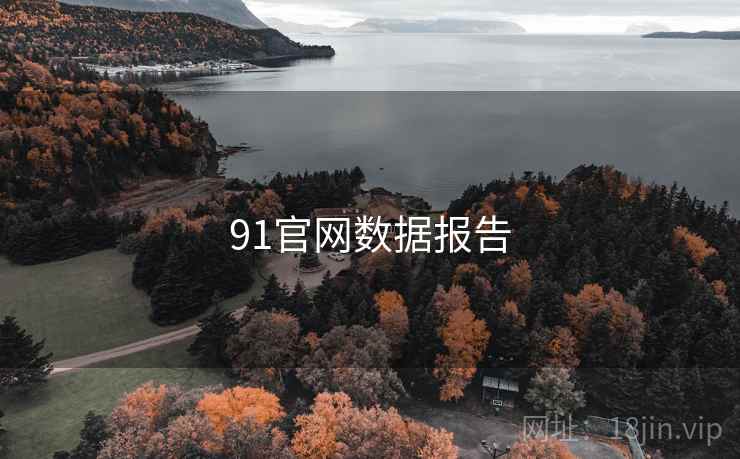 91官网数据报告 91官网数据报告
