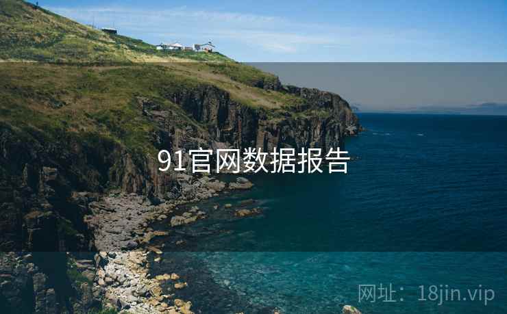 91官网数据报告